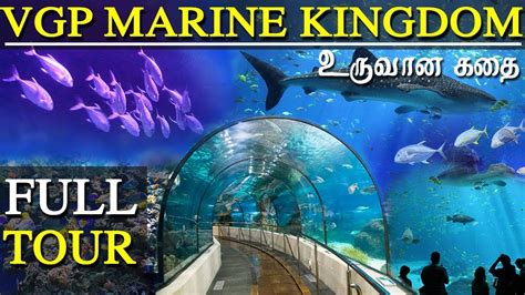 chennai aquarium fish online|Book Ticket Online .